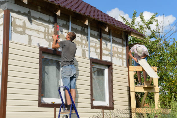 Best Brick Veneer Siding  in Ripley, MS